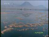 人与自然 人与自然 2010年 第163期