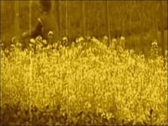 经典传奇 她为什么吃石头