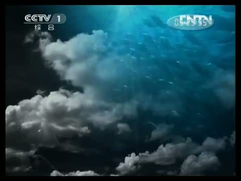 人与自然 《人与自然》 20130416 自然故事 孤狮塔姆（下）