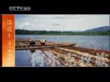 风华国乐 风华国乐 2010年 第320期