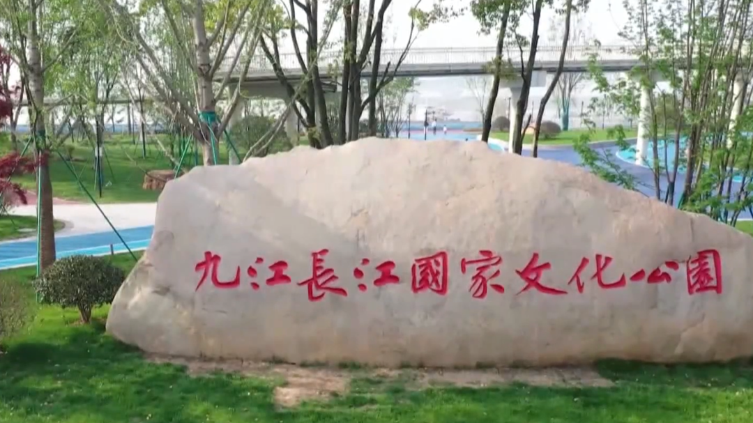 社会传真 坚持生态优先 打造最美岸线