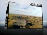 动物世界 动物世界 2011年 第82期