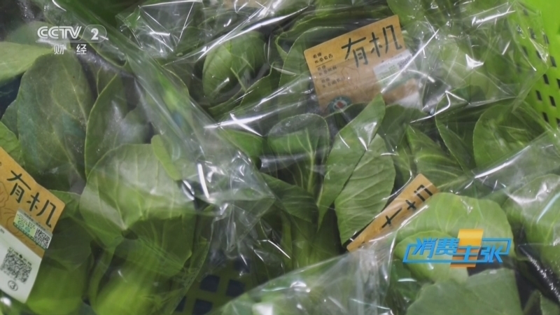 《消费主张》 20251217 霜打菜为何好吃？这是冬天的清甜！