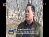 山东新闻联播 《山东新闻联播》 20160221