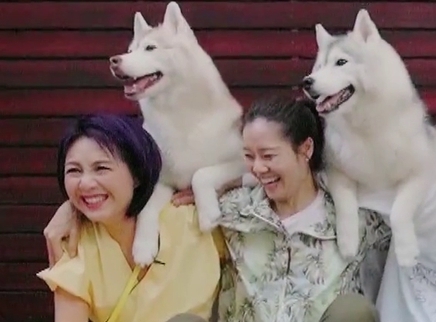 妻子的浪漫旅行3 秘密版 第19期：杨千嬅竟遭“袭胸”？