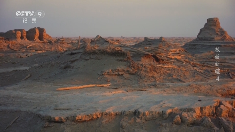 《极致新疆》 第4集 狂野大地