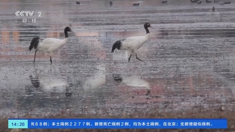 正点财经 《正点财经》 20221121 14:00