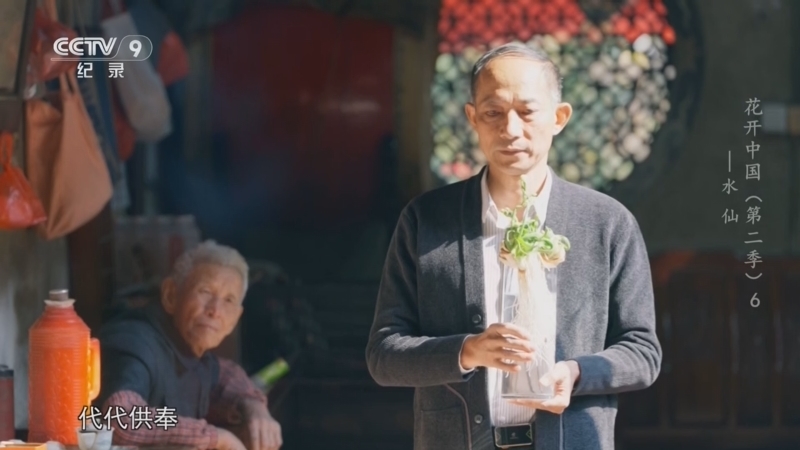 花开中国第二季 《花开中国 第二季》 第6集 水仙