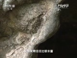 地理中国 《地理中国》 20150924 宝泉幽谷（上）