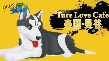 爱狗人士的天堂：泰国曼谷哈士奇咖啡馆