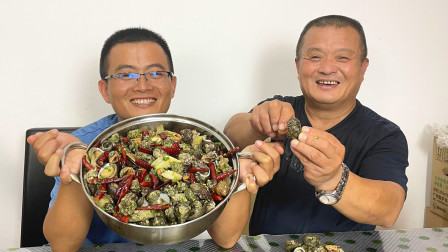 思乡渔夫赶海 渔夫带老爸阿胖山赶海，意外捅到鲍鱼窝，这下野生鲍鱼吃爽了