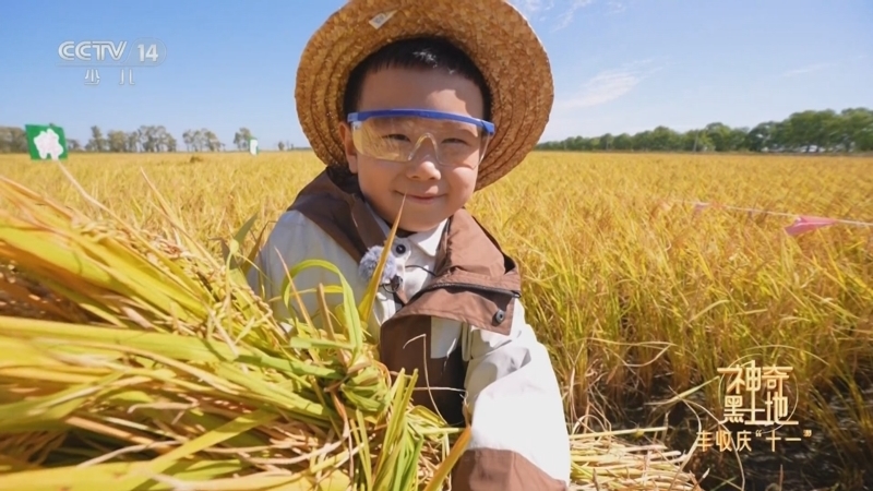 《智力快车》 20251004 神奇黑土地 丰收庆“十一”
