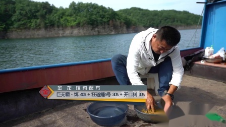 鲤鱼饵怎么垂钓草鱼开饵的学问到底在哪