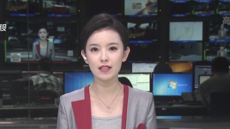 第一时间 蒲松龄《聊斋志异》手稿影印版造就“下真迹一等”