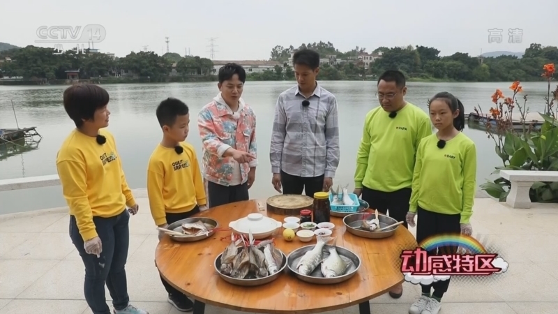 动感特区 《动感特区》 20221103 非常游学团 幸福诗篇——记忆中的乡情