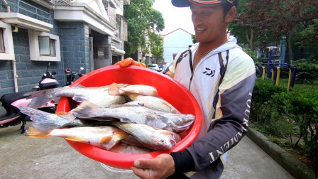 岛民阿杰玩海钓 阿杰今天9点才出海，只钓了3个小时，钓了满满一盆鱼，能卖2000块