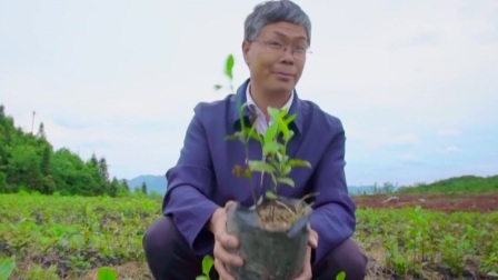 与梦想合拍 这个“猪倌”是茶王
