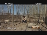 生财有道 《生财有道》 20141106 十八载养殖 用爱创财富