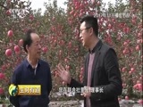 生财有道 《生财有道》 20180314 话说获得感 陕西富平：火红的特产 红火的收获