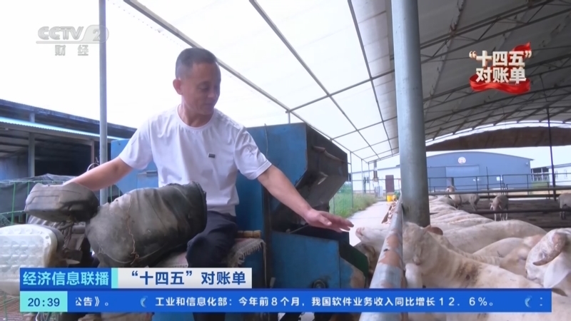 经济信息联播 《经济信息联播》 20251010
