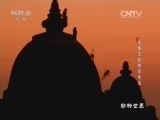 动物世界 《动物世界》 20160823 美猴王的快乐生活