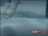 自然传奇 动物高手之团队高手 自然传奇20101213