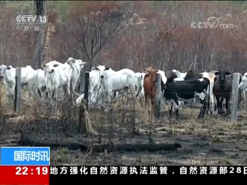 国际时讯 《国际时讯》 20190828