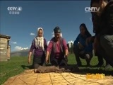 远方的家 《远方的家》特别节目《再见江河》塞外江南伊犁河谷 20150623