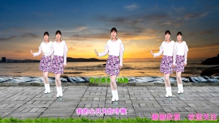 火爆DJ广场舞《情难断》动感32步附教学