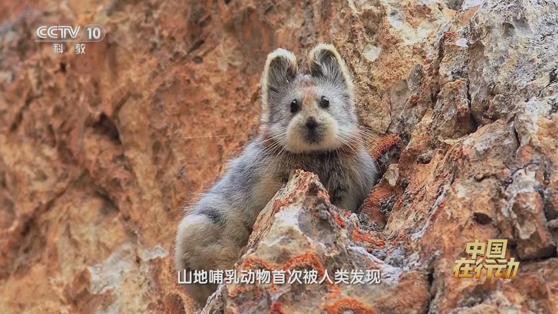 《中国在行动》 20211011