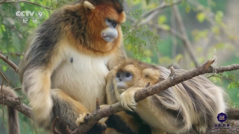 《生态秘境》 第5集 天府之国