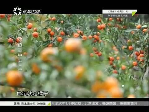 有多远走多远 《有多远走多远》 20150714 这是你的吴中（三）