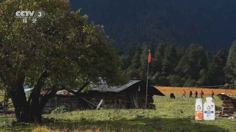 《文化十分》 20260119