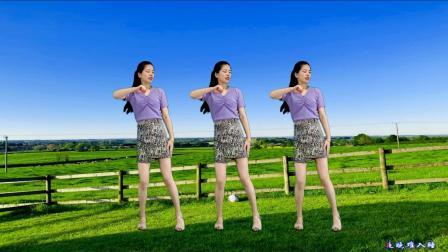 DJ版广场舞《农民人真伟大dj》弹跳32步