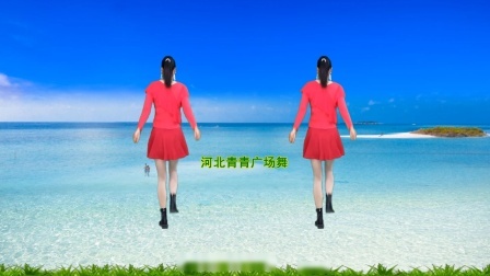 流行DJ广场舞及教学 第三季 广场舞《人生不过三杯酒》背面演示+分解