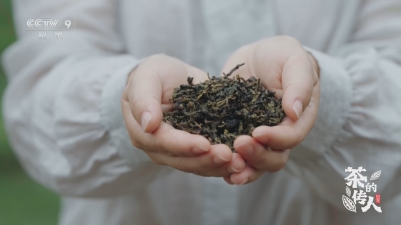 《茶的传人》 第2集 溪边 铁观音茶