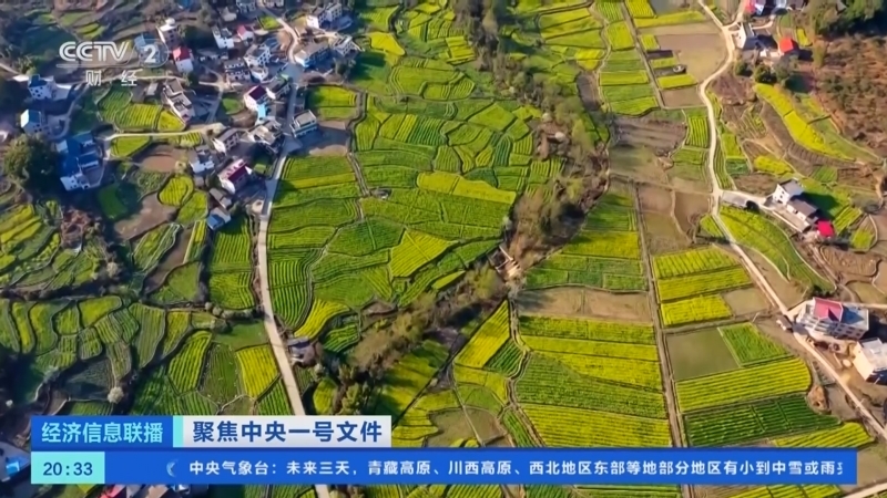 经济信息联播 《经济信息联播》 20250223