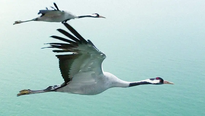 《鸟瞰地球》第3集