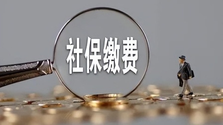 民生要点精选 社保缴费基数提高以后，灵活就业人员，缴费水平会增长多少