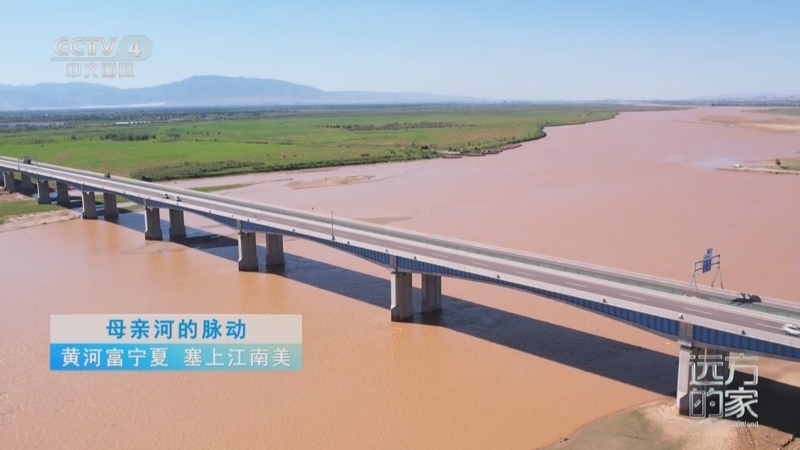 远方的家 《远方的家》 20250609 母亲河的脉动 黄河富宁夏 塞上江南美