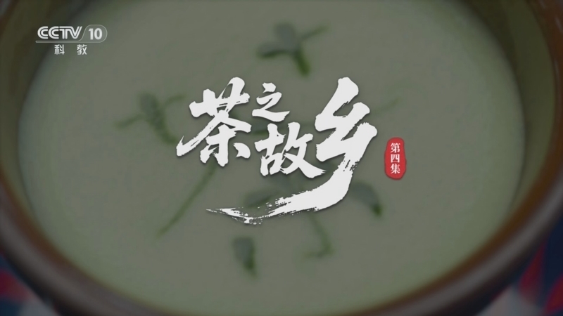 《沿着纬度听中国》 第4集 茶之故乡