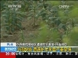 东方时空 《东方时空》 20140727