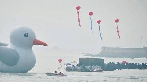 1818黄金眼 1818黄金眼20191009