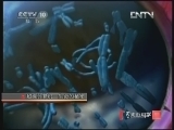 走近科学 《走近科学》 20121030 超级计算机—生命的秘密
