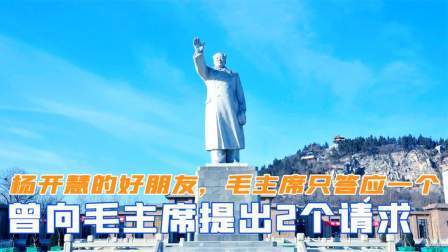 华夏史录 杨开慧的好朋友，曾向毛主席提出2个请求，为何毛主席只答应一个
