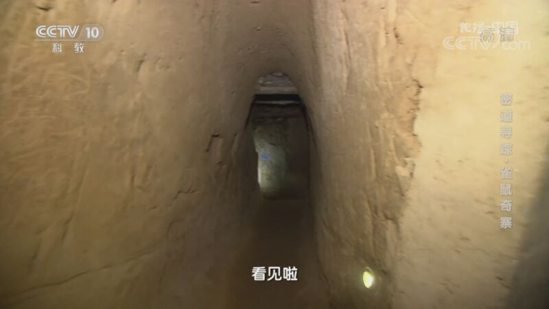 地理中国 《地理·中国》 20201018 密道寻踪·雀鼠奇寨