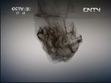 生财有道 《生财有道》 20130506 香榧壳里觅宝贝