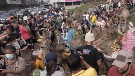 感谢旅游业功臣，泰国一地请猴子吃水果自助餐