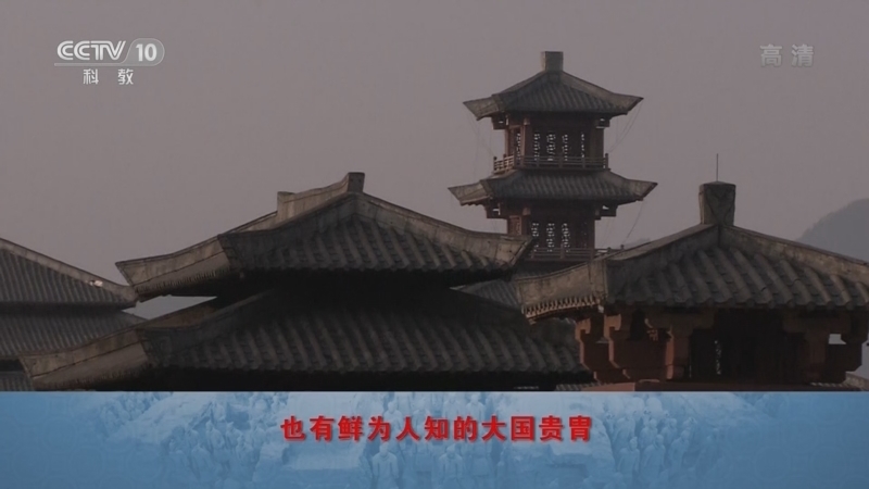 百家讲坛 《百家讲坛》 20220920 考古手记（第二部） 18 墓中的“冒牌将军”