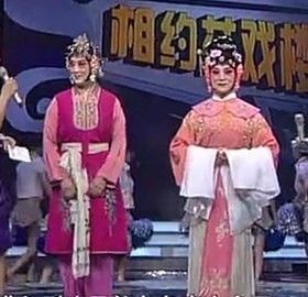 戏曲精选 戏曲精选 群嫒 黄梅戏《女驸马》